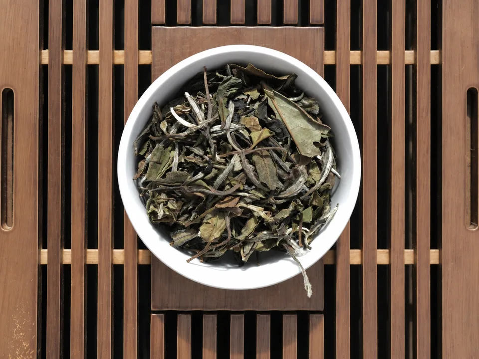 White Peony · Bai Mu Dan