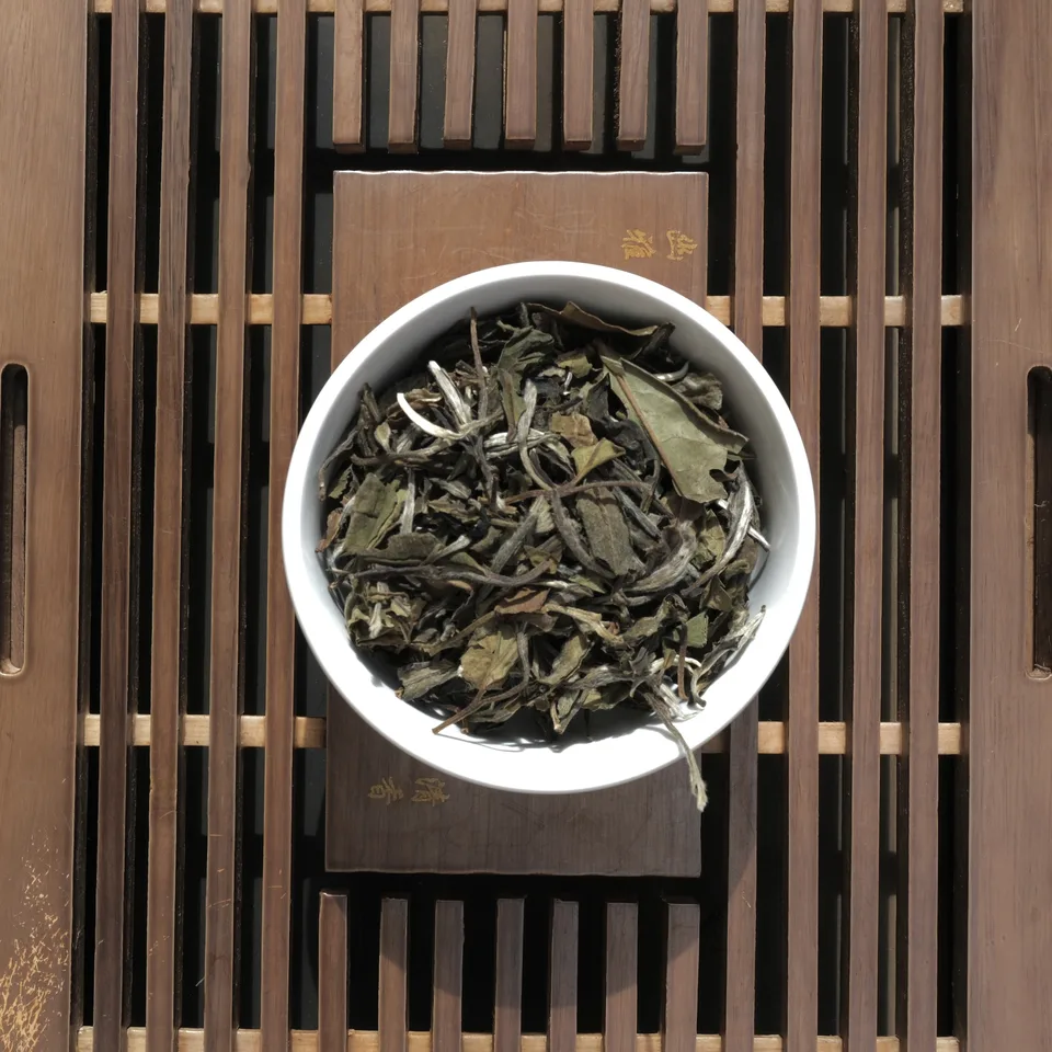 White Peony · Bai Mu Dan — 1